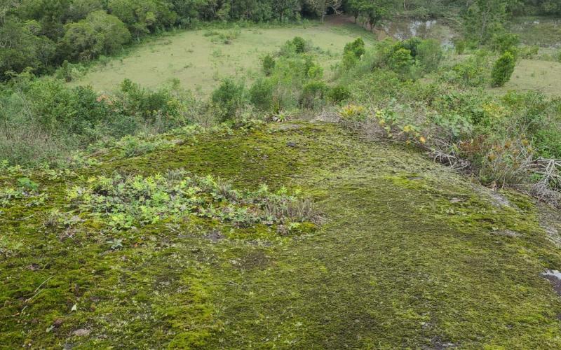 Terreno Arassatuba